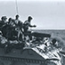 50 лет назад мы были в Египте со щитом 50 лет назад мы были в Египте со щитом